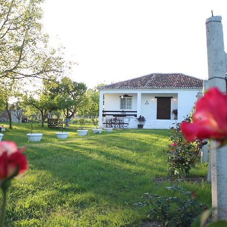 "Per Mik" Cottage In Vineyard Shkodër 외부 사진
