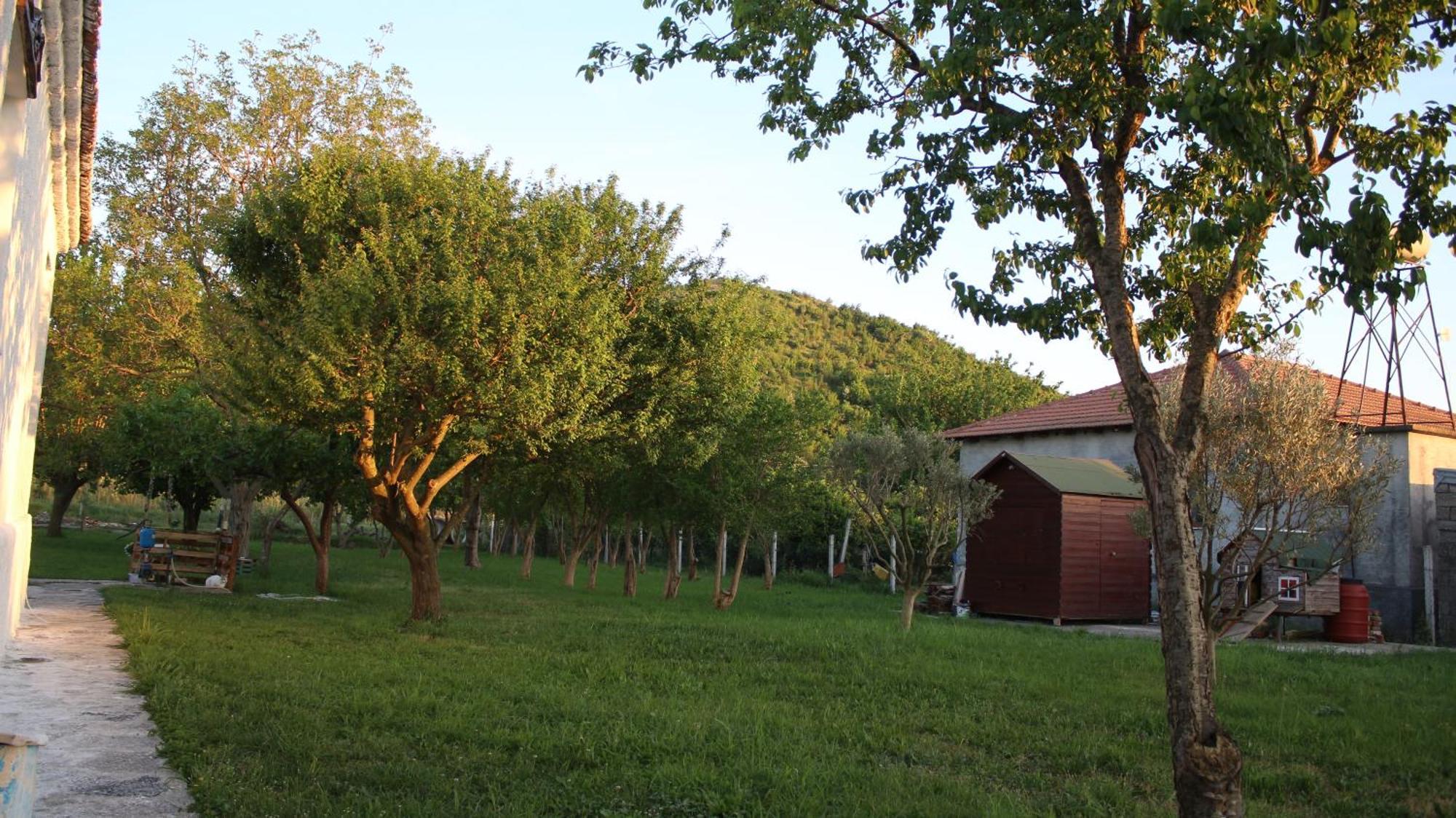 "Per Mik" Cottage In Vineyard Shkodër 외부 사진